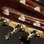 Scott Classical Guitars