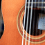 Scott Classical Guitars