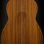 back view